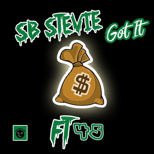 got-it-SB-stevieFINAL